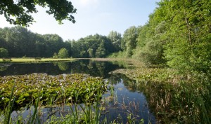 Van Wijnen_Diepstroeten_02